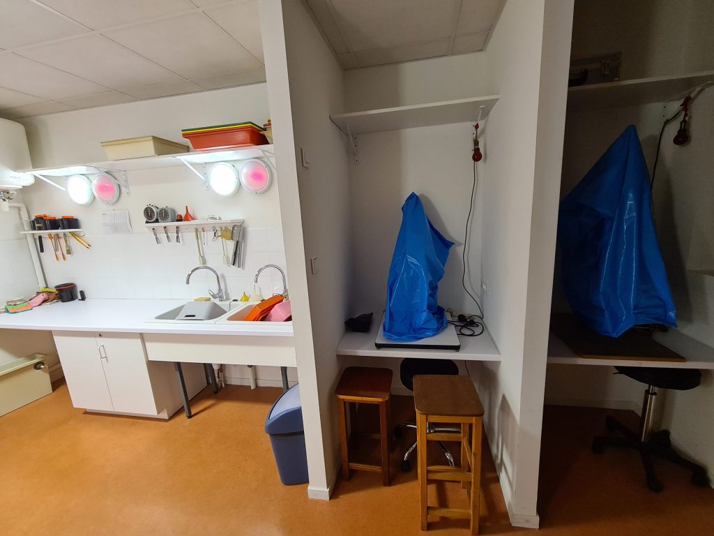 20240131_182608-scaled